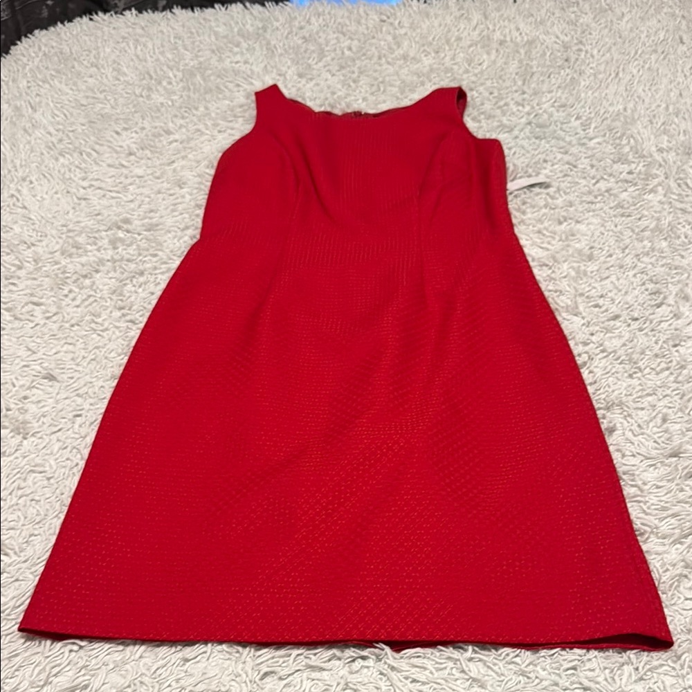 Elegant Dress Set